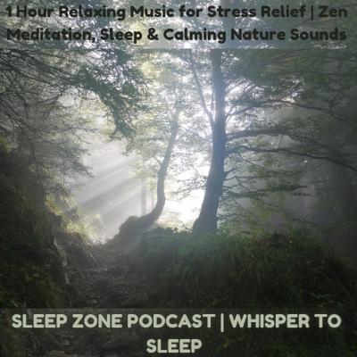 1 Hour Relaxing Music for Stress Relief | Zen Meditation, Sleep & Calming Nature Sounds
