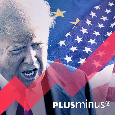 Wirtschaftsexperte zu Trump: Was Europa jetzt tun muss