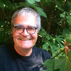 «Menschen erkennen Zusammenhänge, wo keine sind» – Wissenschaft persönlich