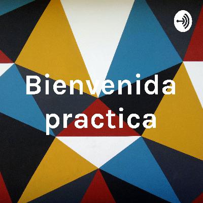 Bienvenida practica