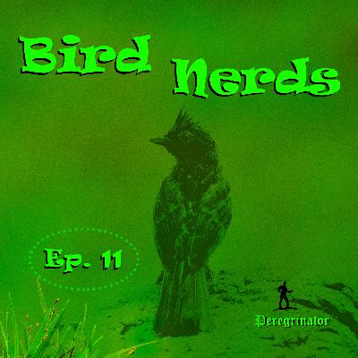 Ep 11. Birds in Hills, Cliffs and Quarries