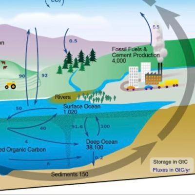 Biology - Ep. 5 - Biogeochemical Cycles