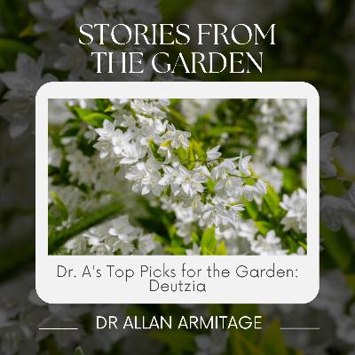 Dr. A's Top Picks for the Garden: Deutzia