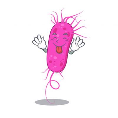 Propagación y las infecciones por rickettsia en humanos