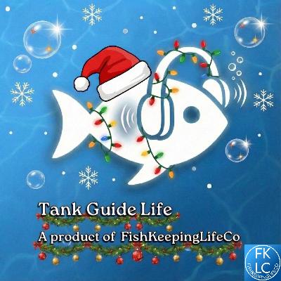 🎄 The Aquarium Gift Guide: Smart Ideas for Fishkeepers This Holiday 🎄 The Aquarium Gift Guide: Smart Ideas for Fishkeepers This Holiday