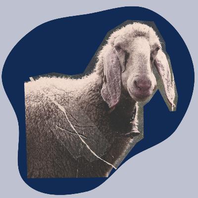 Warum du als Christ keine Angst haben musst (Zentrum JP2) Warum du als Christ keine Angst haben musst (Zentrum JP2)