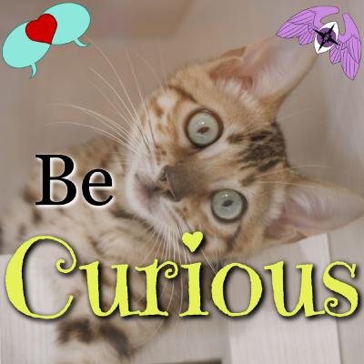 The Power of Curiosity in Effective Communication for Better Relationships The Power of Curiosity in Effective Communication for Better Relationships