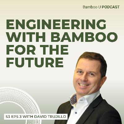 Engineering with Bamboo for the Future