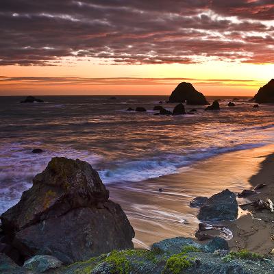 SHOCK THERAPY VOL. 3