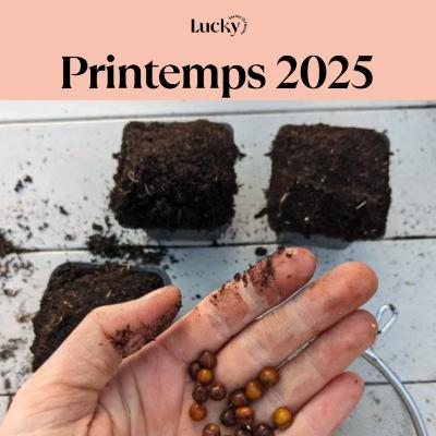 Ep 6 : Le printemps 2025 dans ma nouvelle ferme florale