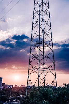 RARE Market Update 30 March 2020 RARE Market Update 30 March 2020