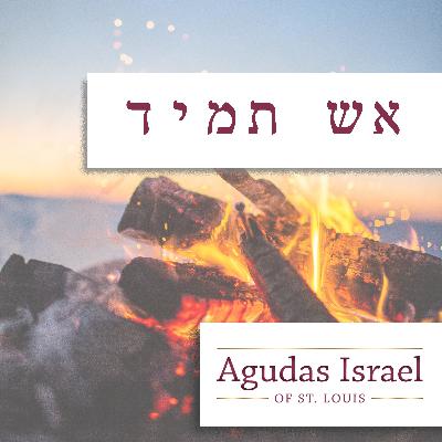 Lag B'Omer Shiur 5785 @ the STL Community Kollel Lag B'Omer Shiur 5785 @ the STL Community Kollel