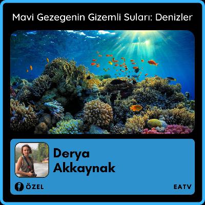 Mavi Gezegenin Gizem Dolu Suları: Denizler