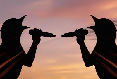 Ep. 73 - The Dawn Chorus (Part 2)