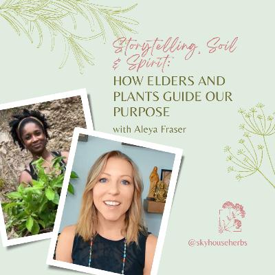 Storytelling, Soil & Spirit: How Elders and Plants Guide Our Purpose