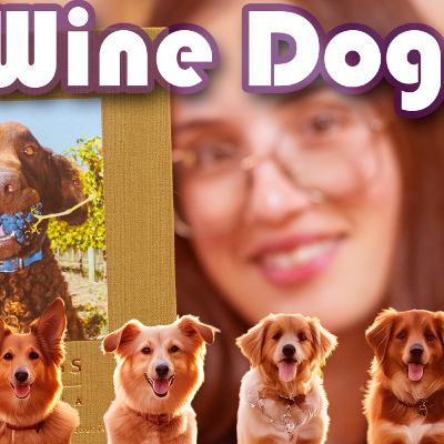Descubra o livro Wine Dogs Australia neste vídeo encantador! 🐶🍷 Descubra o livro Wine Dogs Australia neste vídeo encantador! 🐶🍷