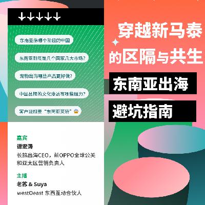 穿越新马泰的区隔和共生：东南亚出海避坑指南
