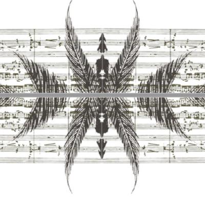 Celebrating 20 Years!