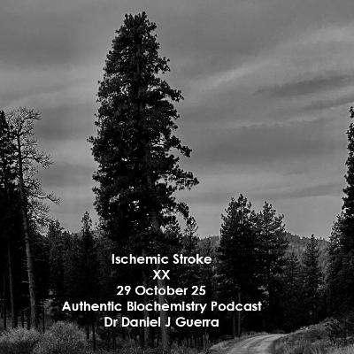 Ischemic Stroke XX 29 October 25 Authentic Biochemistry Podcast Dr Daniel J Guerra