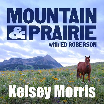 Kelsey Morris Returns – Going All In on Art Kelsey Morris Returns – Going All In on Art