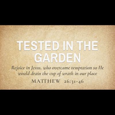 Tested in the Garden (Matthew 26:31-46)