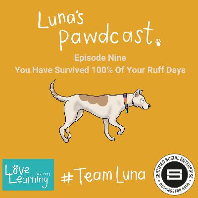 You Have Survived 100% Of Your Ruff Days