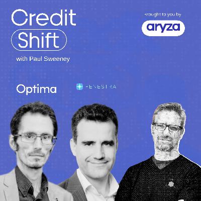 Pathways to AI Implementation and Excellence: Ethical, Strategic and Operational Insights with Optima and Fenestra