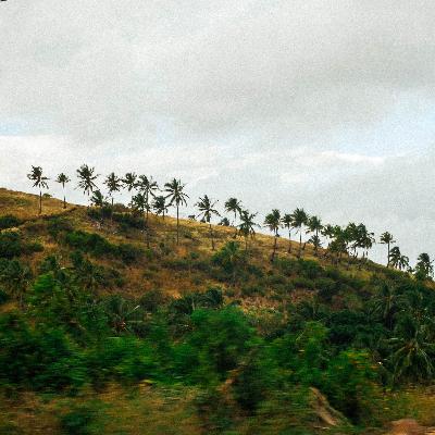 Mots = armes... qu'on laisse à l'IA ?