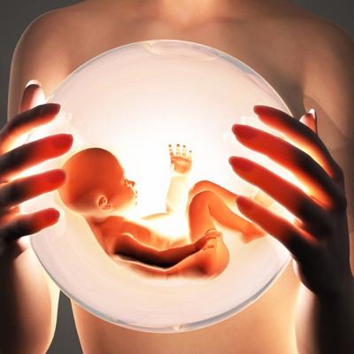 EL DESAROLLO HERMBRIONARIO DEL SER HUMANO🤰