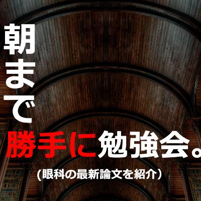 雑談2507_羽入田先生と語る学会参加について