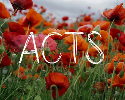 ACTS – The Nature of the New Temple – Jimmy Clifton – 5.19.2024