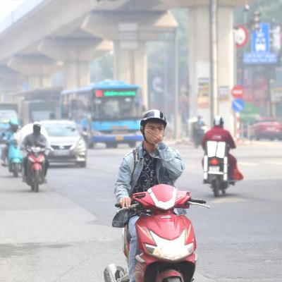 Chuyển đổi xanh - Hà Nội quyết liệt xây dựng vùng Thủ đô xanh