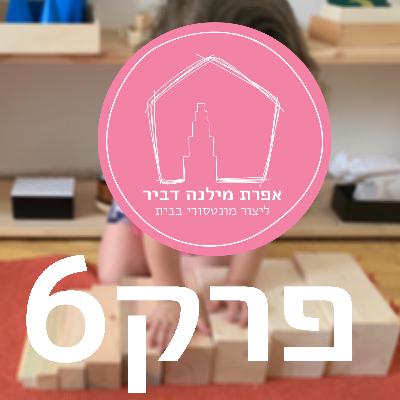 פרק שש - תקופות רגישות ורוטציה