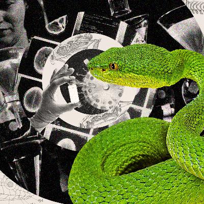 Venomous Snakes Represent a Serious Public Health Problem. Scientists Are Biting Back With a Groundbreaking Antidote