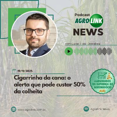 Alta oferta de trigo no mercado internacional derruba os preços