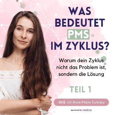 Warum habe ich plötzlich PMS? | Anne Turinsky: Dein Zyklus ist nicht das Problem | PMS heilen Warum habe ich plötzlich PMS? | Anne Turinsky: Dein Zyklus ist nicht das Problem | PMS heilen
