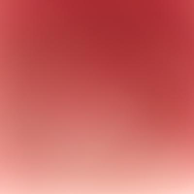 Comentario Oral - Sistema de Marcado en los campos de concentración