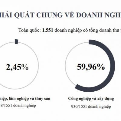 Dòng chảy kinh tế - Hoàn thiện chính sách hỗ trợ phát triển doanh nghiệp tư nhân “sếu đầu đàn”