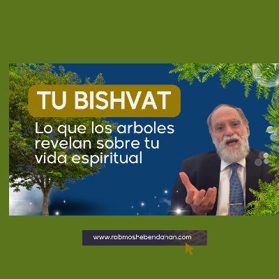 T Bishvat Lo que los árboles revelan sobré tu espiritualidad T Bishvat Lo que los árboles revelan sobré tu espiritualidad