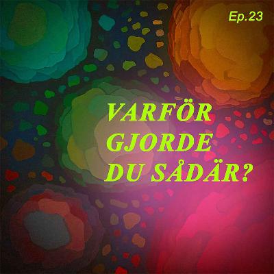 Varför gjorde du sådär? Varför gjorde du sådär?