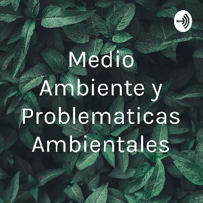 Medio ambiente