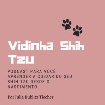 Vidinha Shih Tzu