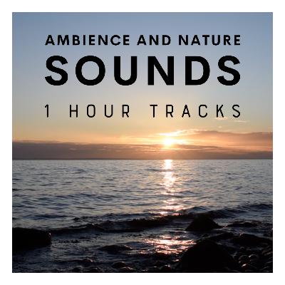 Ambience: Evening waves during sunset on Danish island (1 hour) Ambience: Evening waves during sunset on Danish island (1 hour)