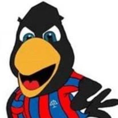 Cuervos de Ley 24-05-2023