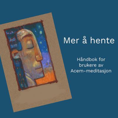 Hvorfor retretter? Utdrag fra boken Mer å hente Hvorfor retretter? Utdrag fra boken Mer å hente