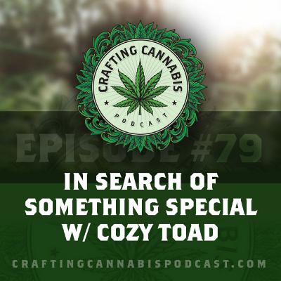 #79 - In Search of Something Special w/ Cozy Toad