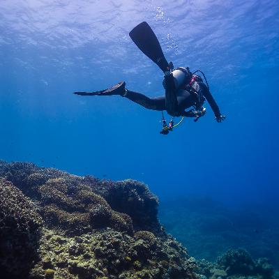 ep.422 水嫌いのやなぎーが海デビュー！きじーは人命救助の訓練に挑戦