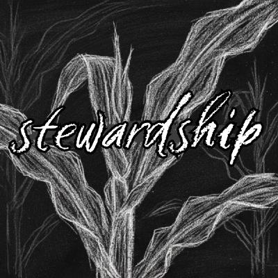 Episode 294: Stewardship as Legacy Episode 294: Stewardship as Legacy