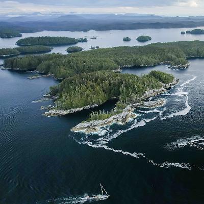 Centering an Indigenous approach to forestry through reciprocity, not extraction Centering an Indigenous approach to forestry through reciprocity, not extraction
