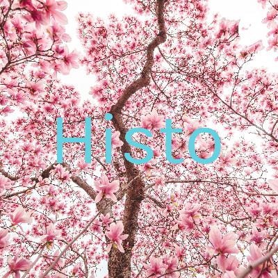 Histo (Trailer)